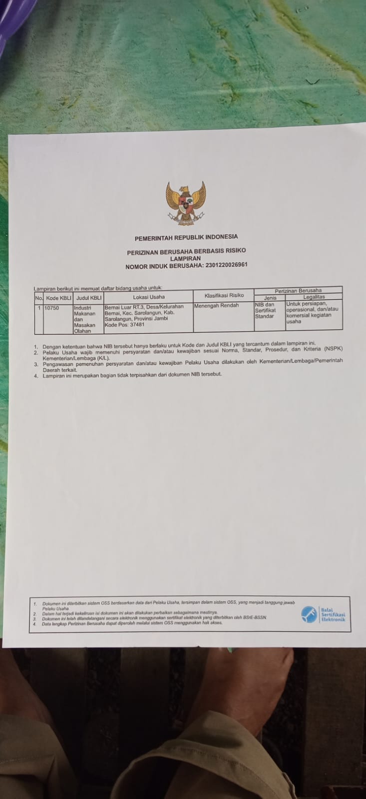 NIB (Nomor Induk Berusaha)