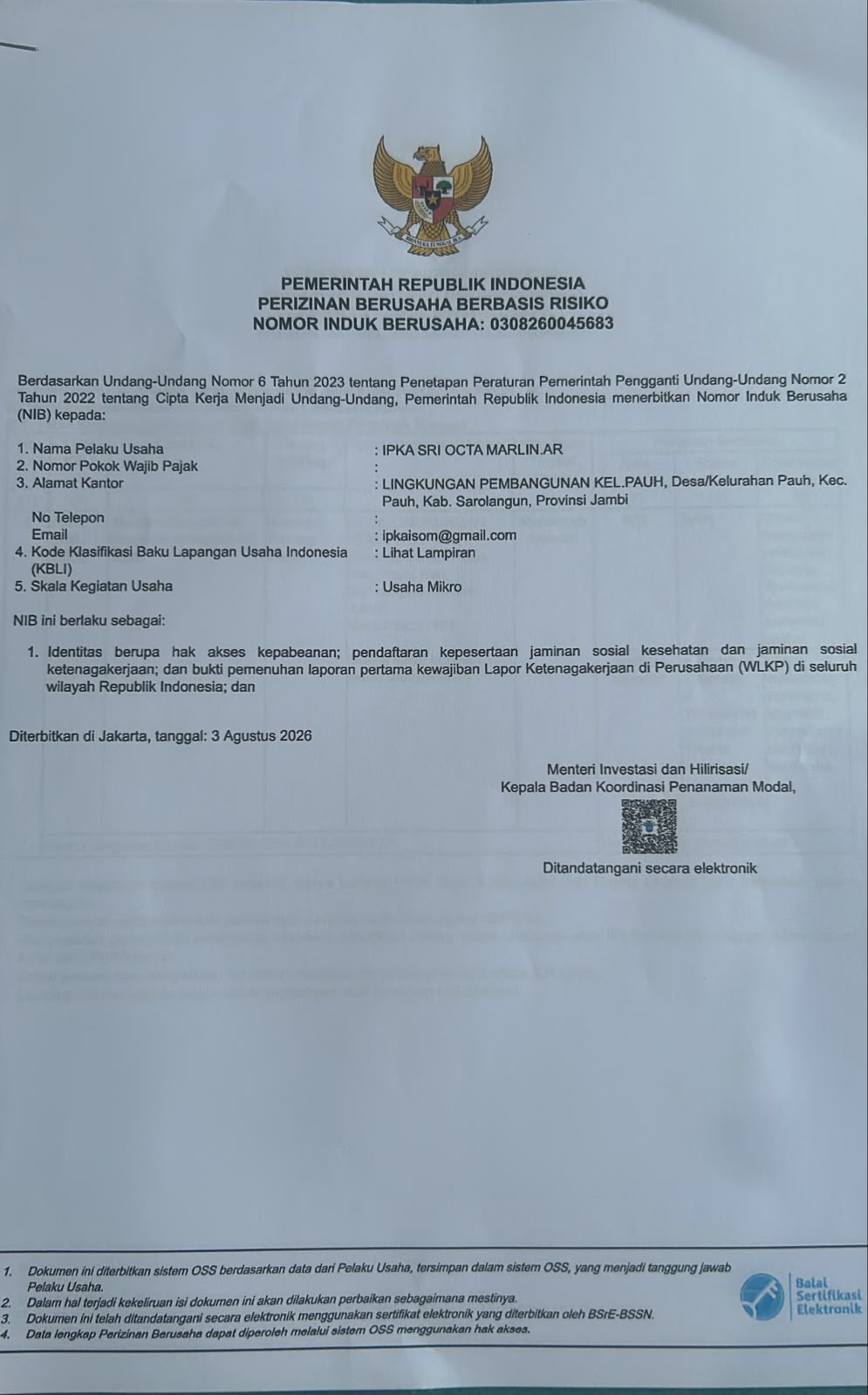 NIB (Nomor Induk Berusaha)