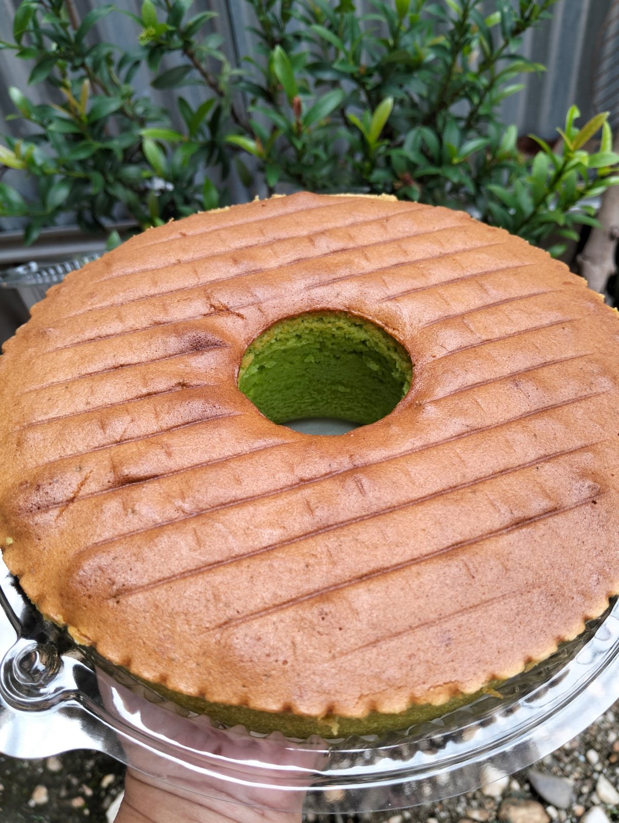 Bolu Pandan
