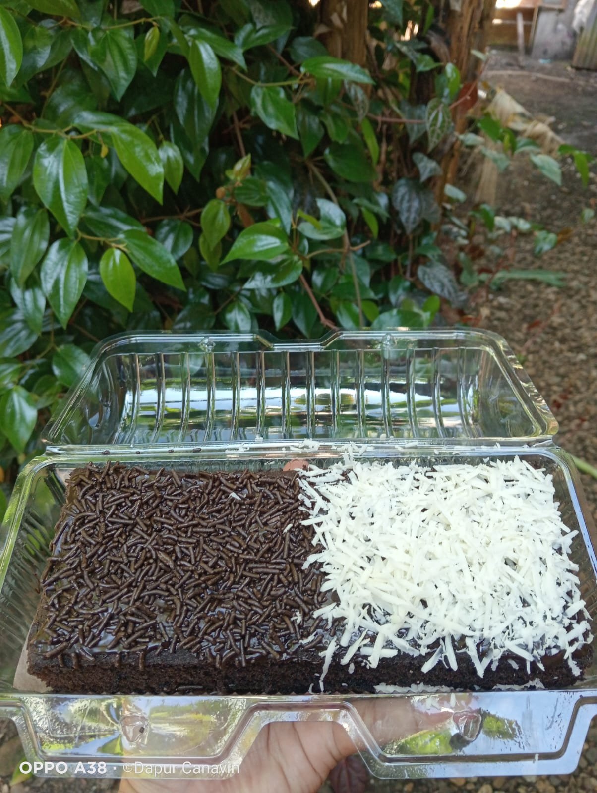 BOLU BROWNIES LUMER